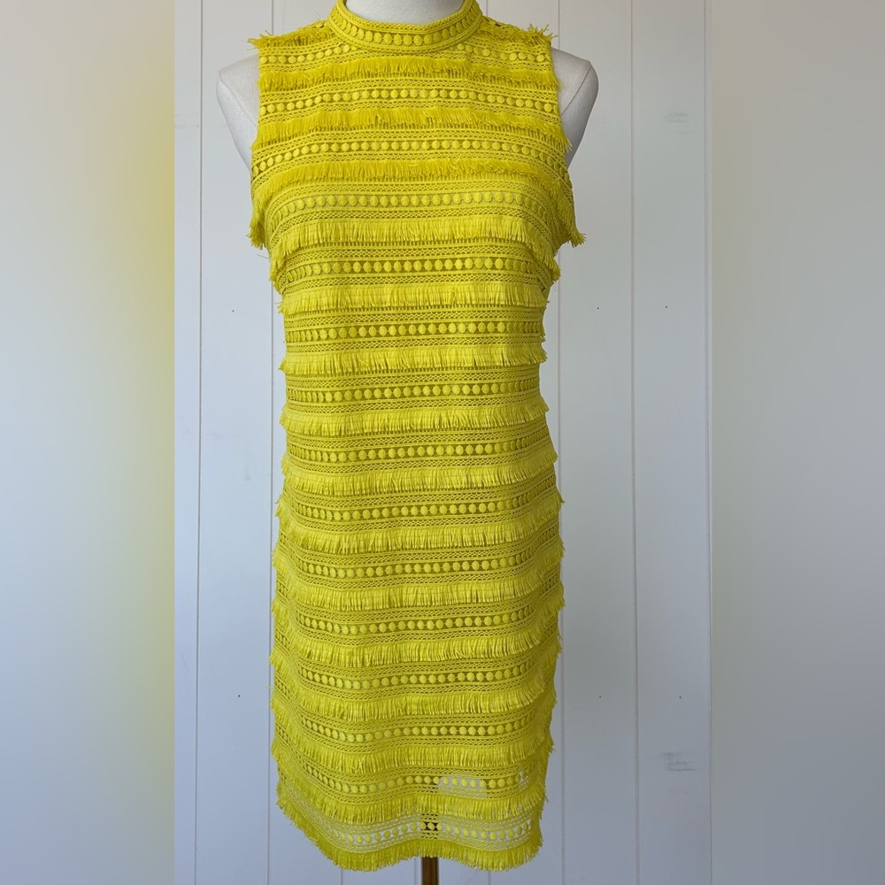 J.Crew Women’s Shift Dress Fringe & Lace Lined Size 4P
